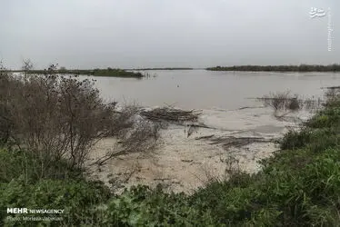 42zihX3p3Zp9