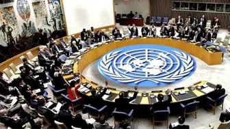 آمریکا از تصویب قطعنامه شورای امنیت درباره کرونا جلوگیری کرد

