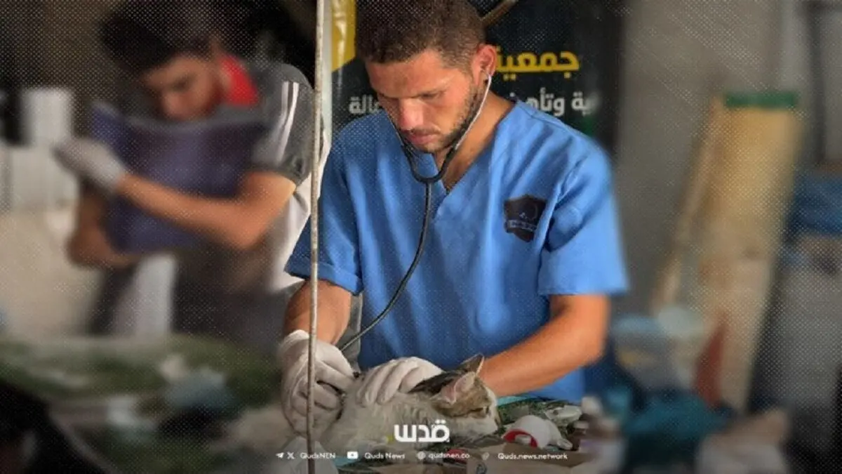 اسرائیل تنها دامپزشک شمال غزه را کشت