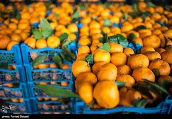 افزایش ۵۰ درصدی قیمت سبزیجات در اصفهان