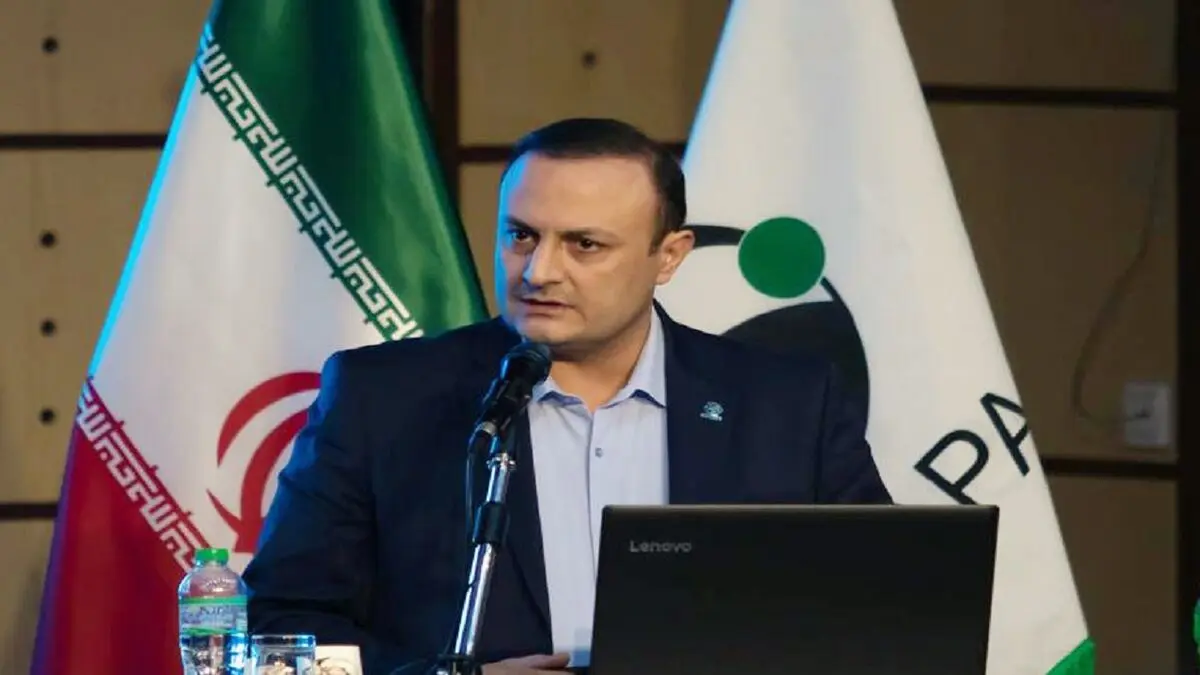 دولت در خودرو 100 در صد سهام دارد!