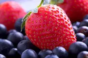  بهترین گزینه‌های غذایی برای افزایش کارایی مغز!