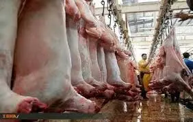وضعیت تولید گوشت در کشتارگاه‌ها