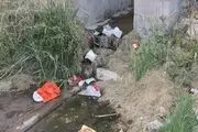  اینجا یاسوج است ! + تصاویر