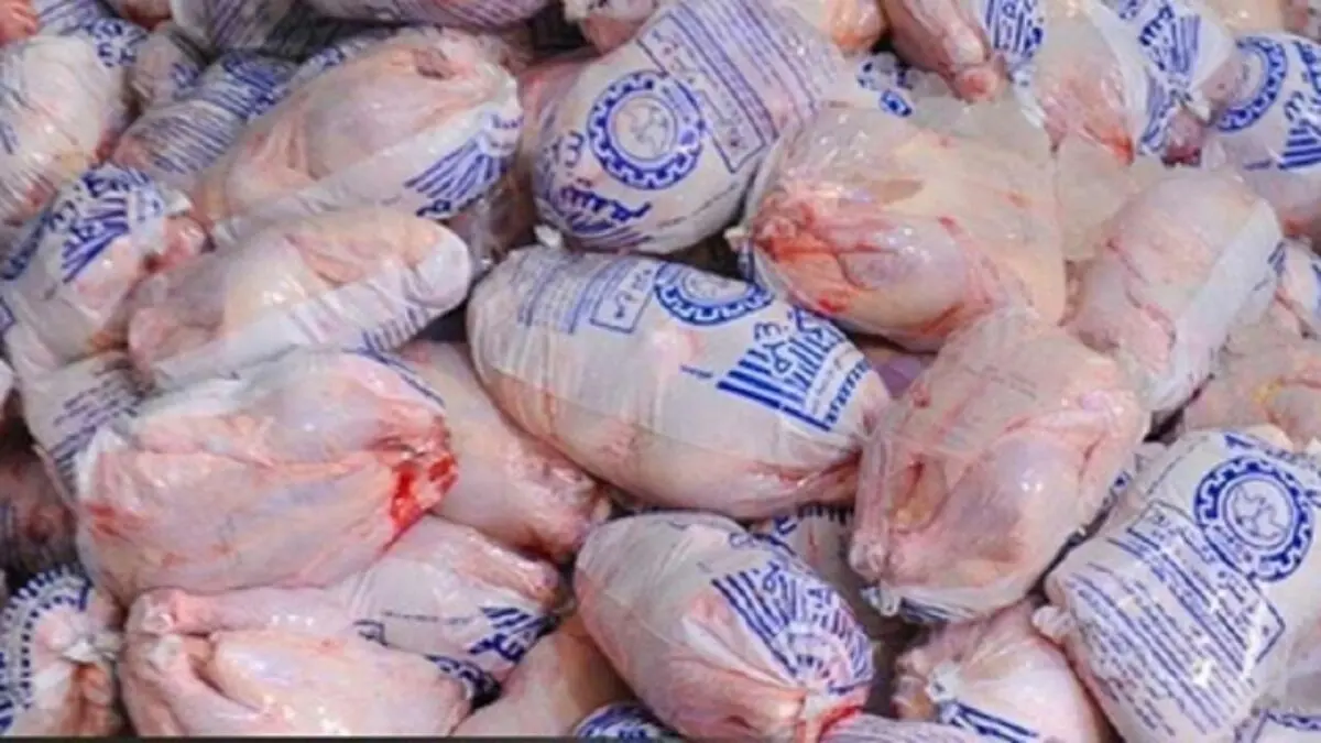 نرخ هر کیلو مرغ ۲۳ هزار و ۳۰۰ تومان شد