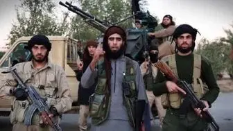 هلاکت دو فرمانده داعش در سوریه
