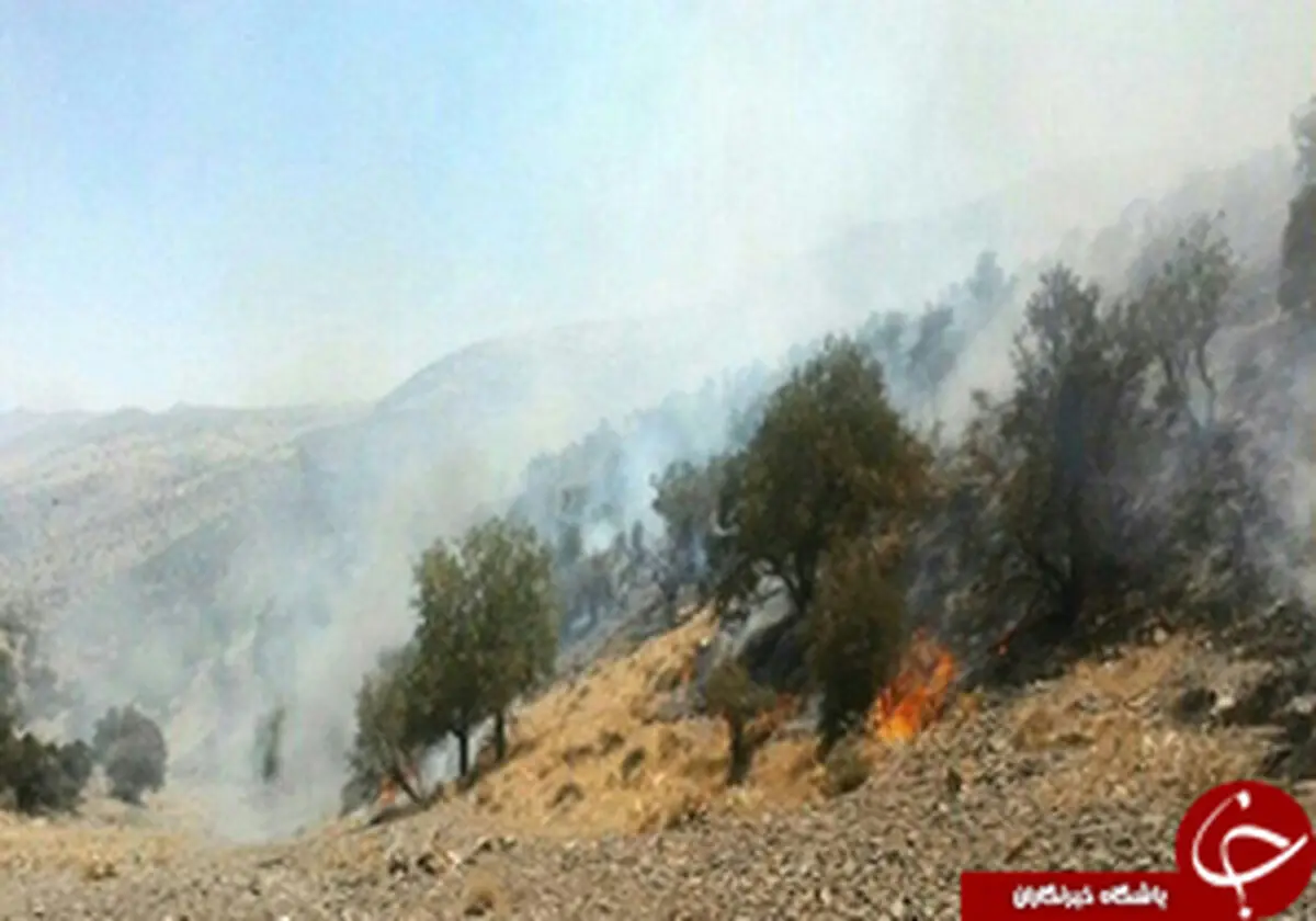 
دامداران
عامل آتش سوزی جنگل‌های پاسارگاد 