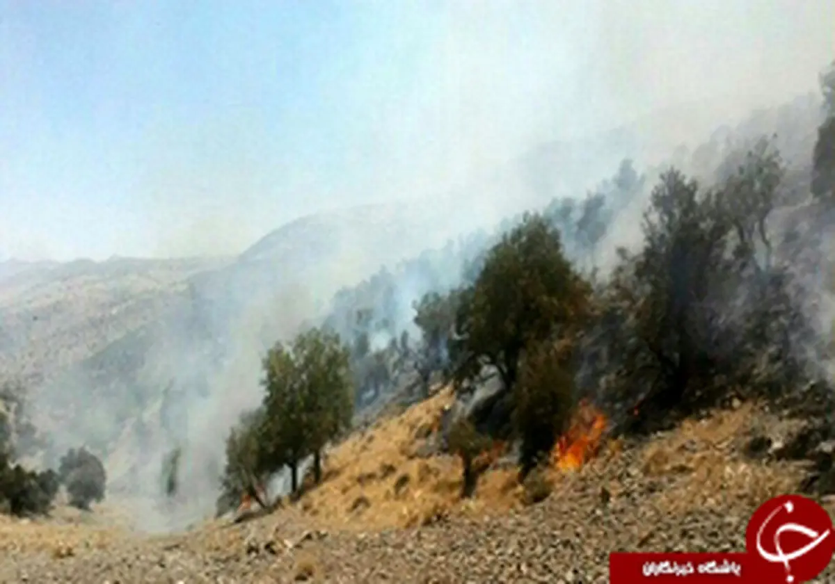 دامداران
عامل آتش سوزی جنگلهای پاسارگاد
