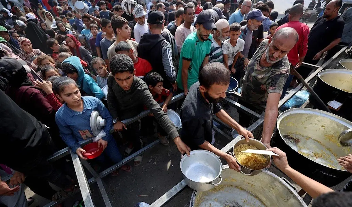 پنیر موزارلا به جای گوشت