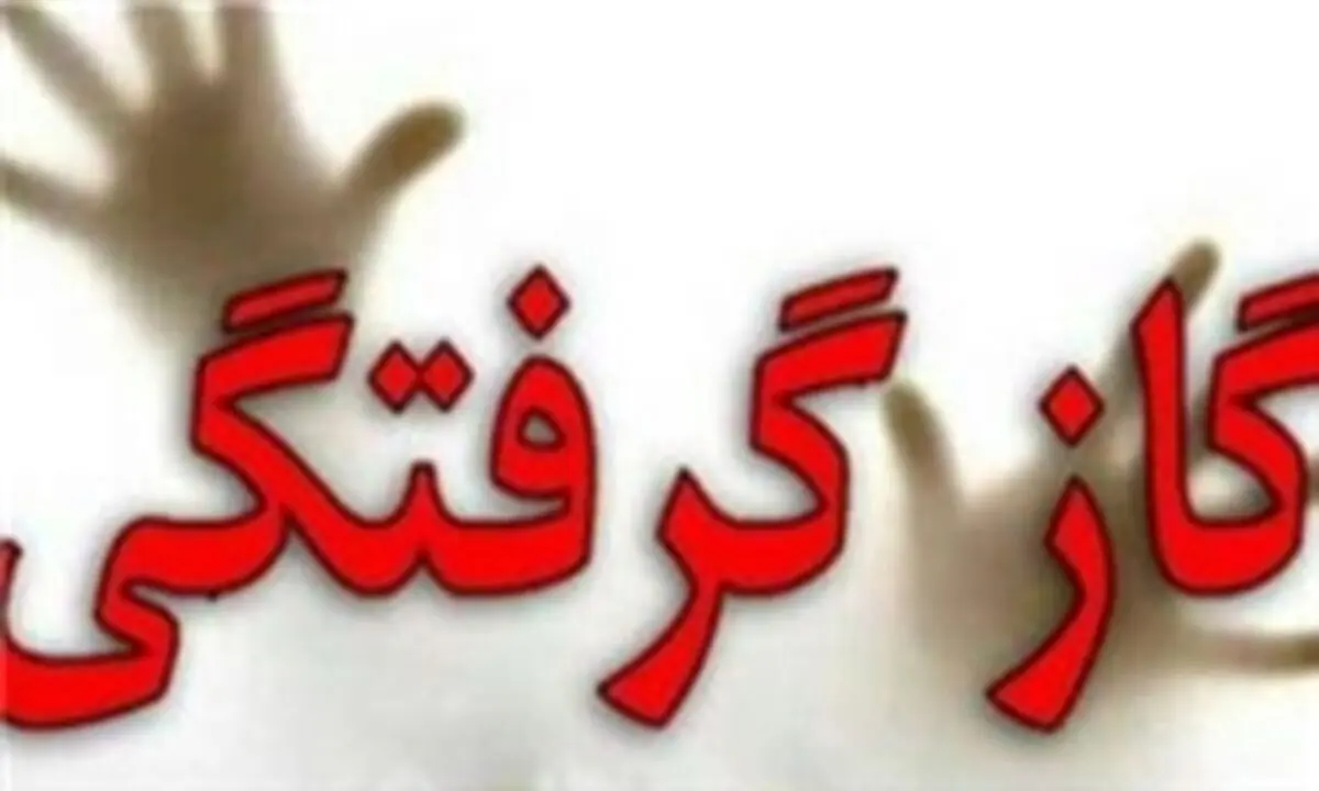 تهرانی‌ها در صدر جانباختگان با مسمومیت گاز منوکسیدکربن