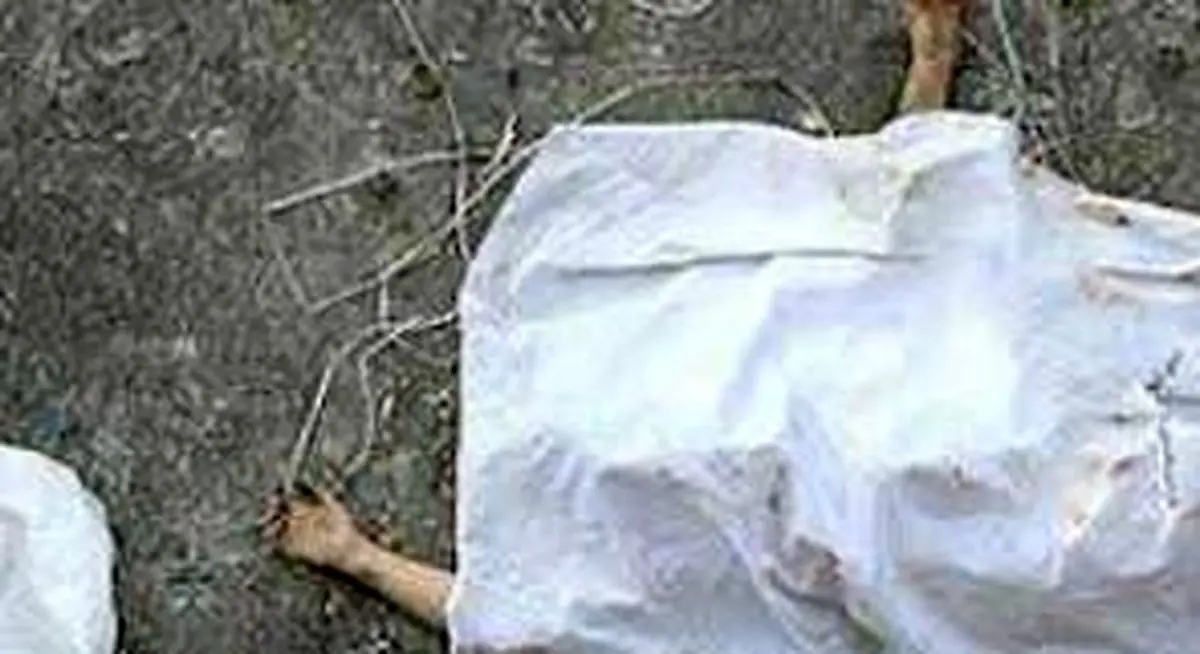 کشف جسد جوان گلستانی در جنگل نوکنده