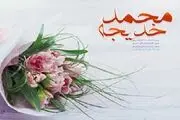وقتی حضرت خدیجه (س) از پیامبر اکرم (ص) خواستگاری کرد
