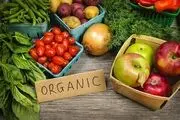 بازار سیاه مواد غذایی ارگانیک