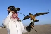  شاهزادگان قطری به شکار بازهای کمیاب پاکستانی می‌روند 
