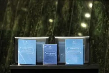 تقدیم لایحه بودجه ۱۴۰۳ به مجلس توسط رئیس جمهور