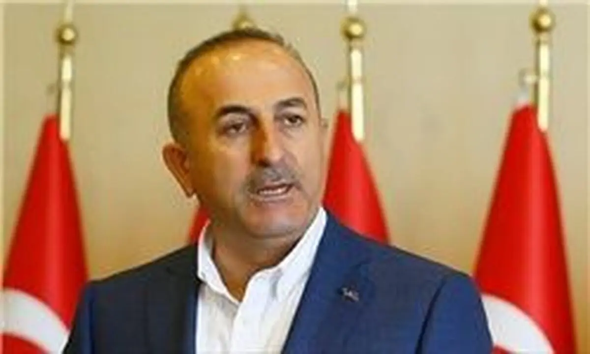 انتقاد شدید ترکیه از تصمیم وین برای توقف مذاکرات