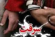 
دستگیری سارقان طلاهای افراد کهنسال در کاشان
