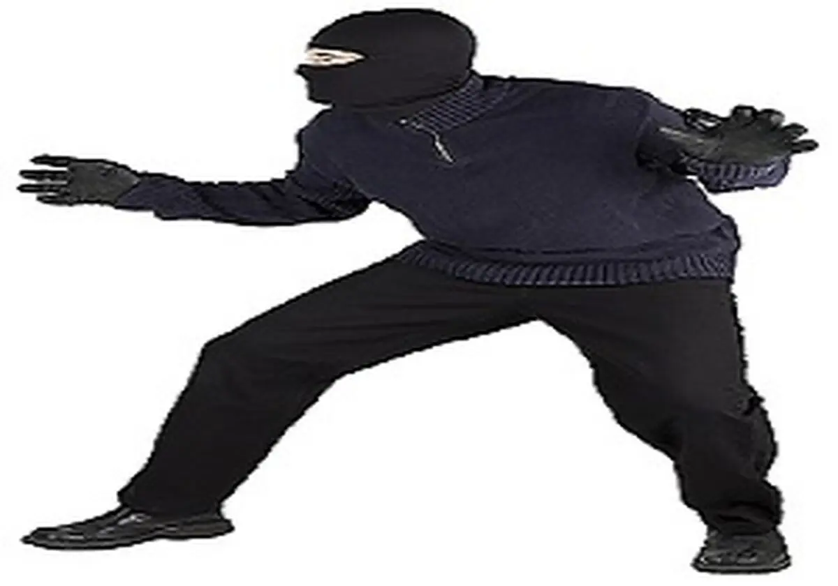 
انهدام باند سارقان منزل
