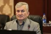شماره و شناسه ملی افراد به عنوان کد اقتصادی آن‌ها محسوب می شود