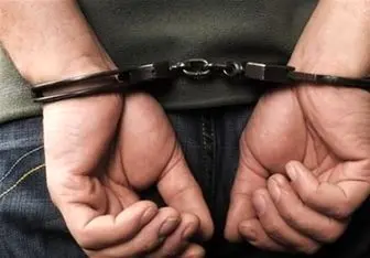 دستگیری سارق موبایل قاپ با ۳۰ فقره سرقت 