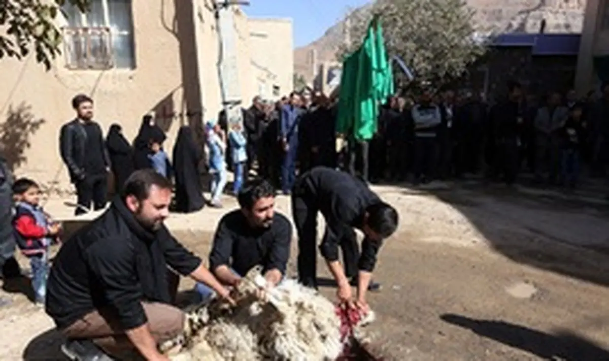 امکان حذف کامل تب کنگو از کشور وجود ندارد