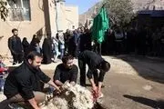 امکان حذف کامل تب کنگو از کشور وجود ندارد
