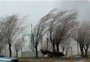 وزش باد شدید در پایتخت