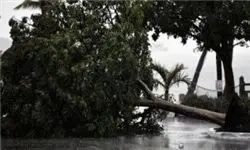 احتمال تکرار طوفان مرگبار «کاترینا» در آمریکا