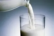 سازمان حمایت: افزایش قیمت شیرخام غیرقانونی است