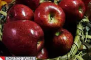 خوردن سیب، ضربان قلب را کنترل می‌کند