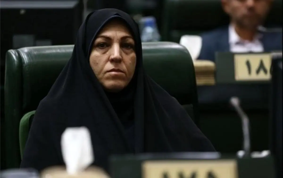 «رحمانیفضلی» فراجناحی است