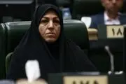 «رحمانی‌فضلی» فراجناحی است