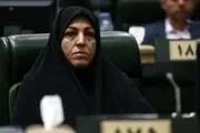 «رحمانی‌فضلی» فراجناحی است