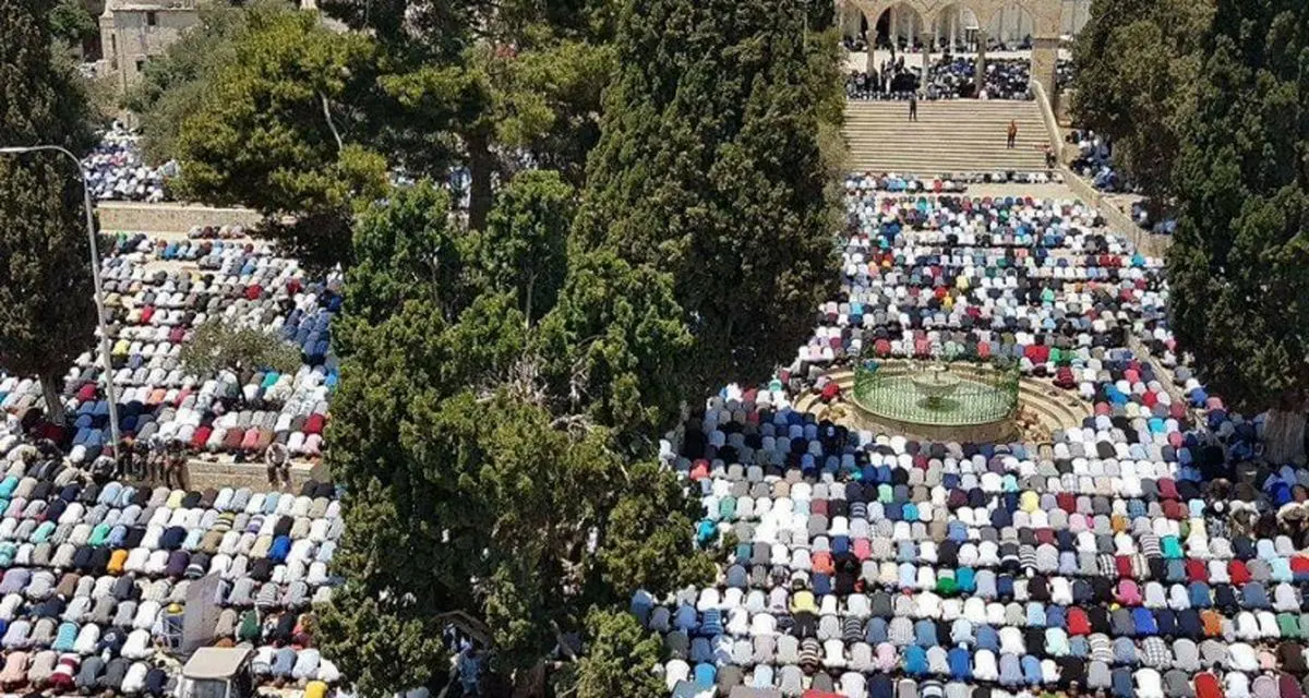 آخرین خبرها از تحولات فلسطین