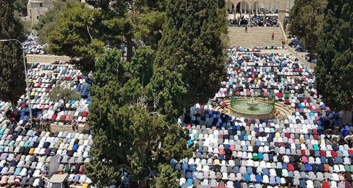 آخرین خبرها از تحولات فلسطین