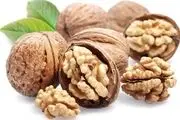 کاهش آلزایمر با مصرف گردو