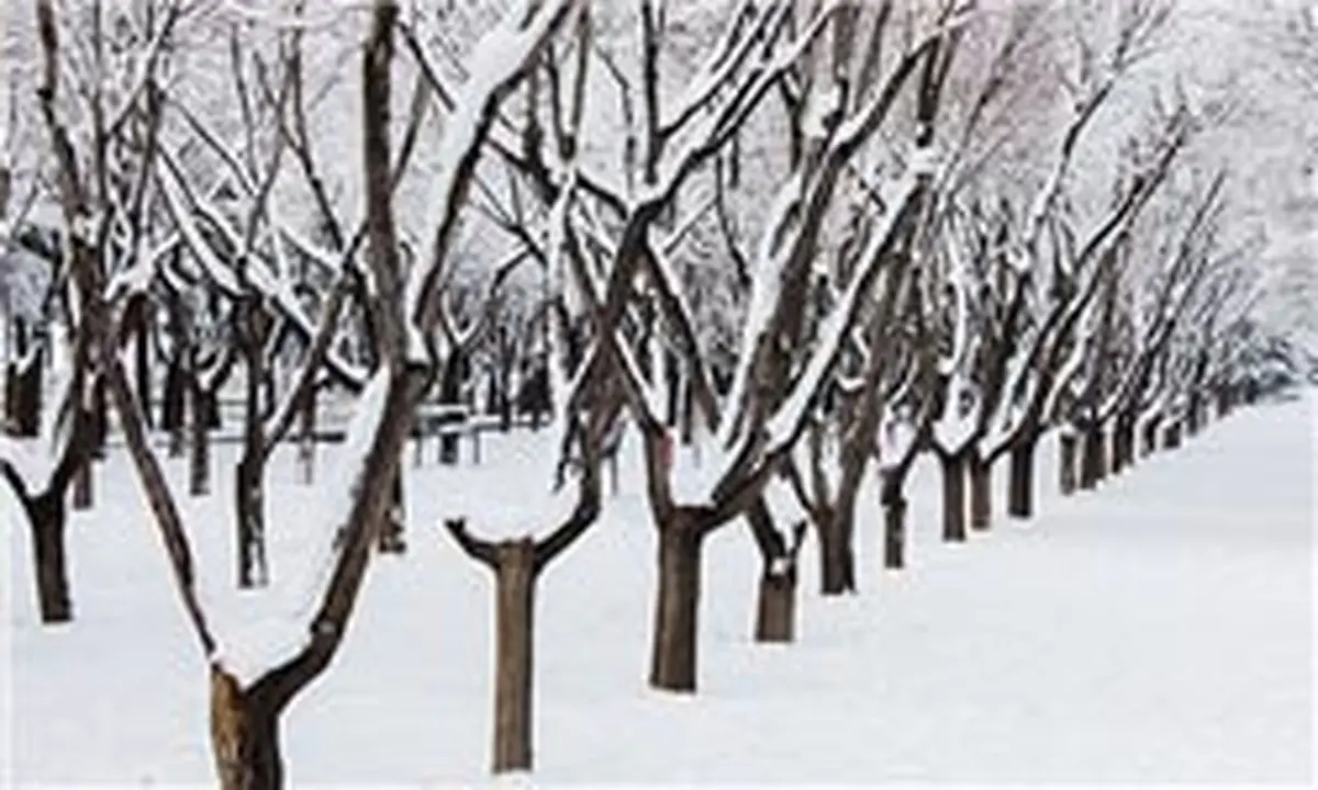 تعطیلی دبستانهای نوبت عصر ۱۹ منطقه شهرستانهای تهران