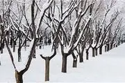 تعطیلی دبستان‌های نوبت عصر ۱۹ منطقه شهرستان‌های تهران