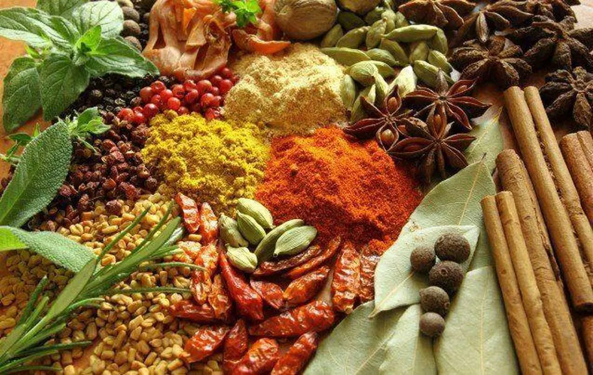 گیاه یاب ، جامع ترین وب سایت طب سنتی در ایران