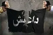 خروج عناصر داعش از رقه آغاز شد