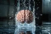 مغز انسان هم حمام می‌کند!

