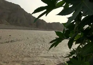طغیان رودخانه کاجو/ ارتباط 40 روستا قطع شد 