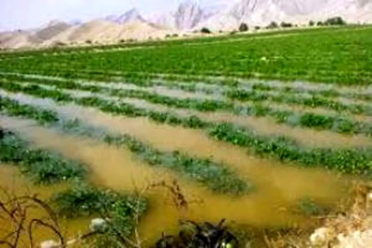 خسارت هنگفت سیلاب به کشاورزان گلستان