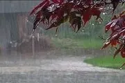 معابر پایتخت لغزنده و خلوت است
