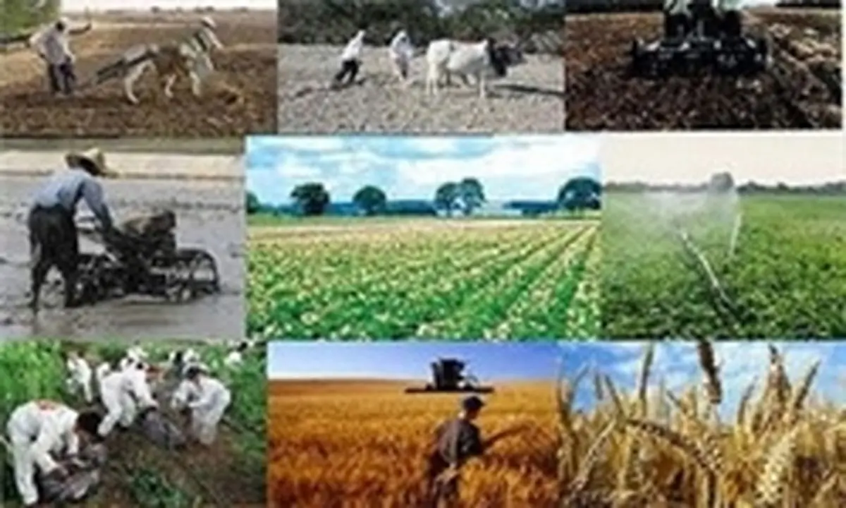 روسیه تعرفه واردات از ایران را حذف میکند
