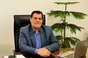 
قطع غیرقانونی درختان 30 ساله
