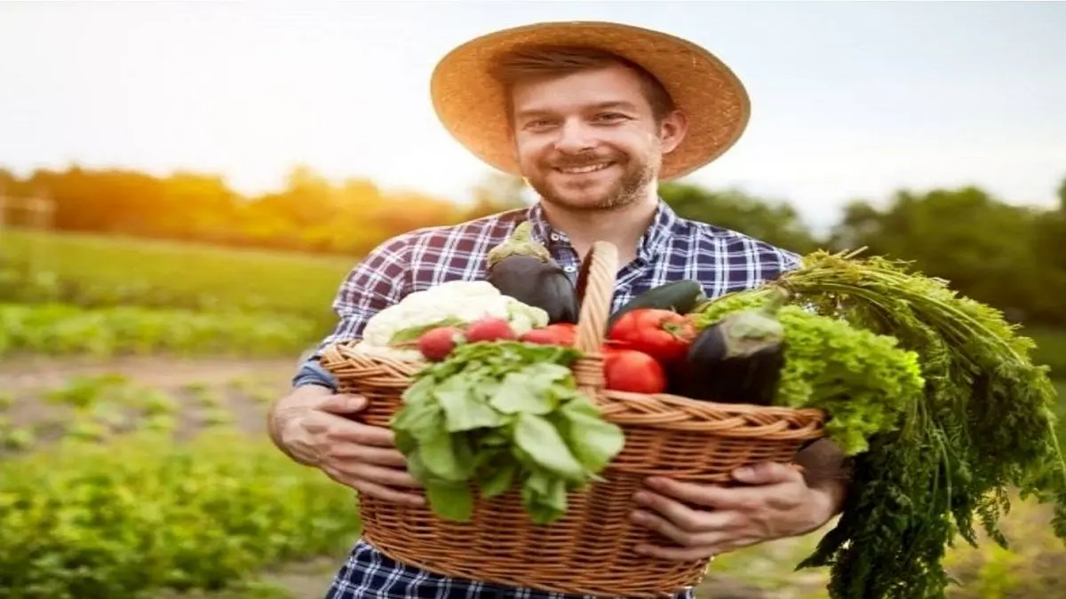 هشدار در مورد باکتریهای خطرناک در سبزیجات ارگانیک