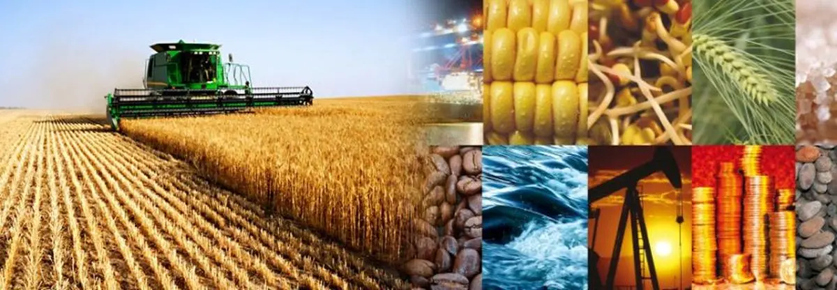 رانت خواران از شفافیت بورس احساس خطر میکنند