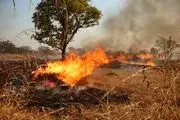 
آتش سوزی در باغات روستای هزاوه
