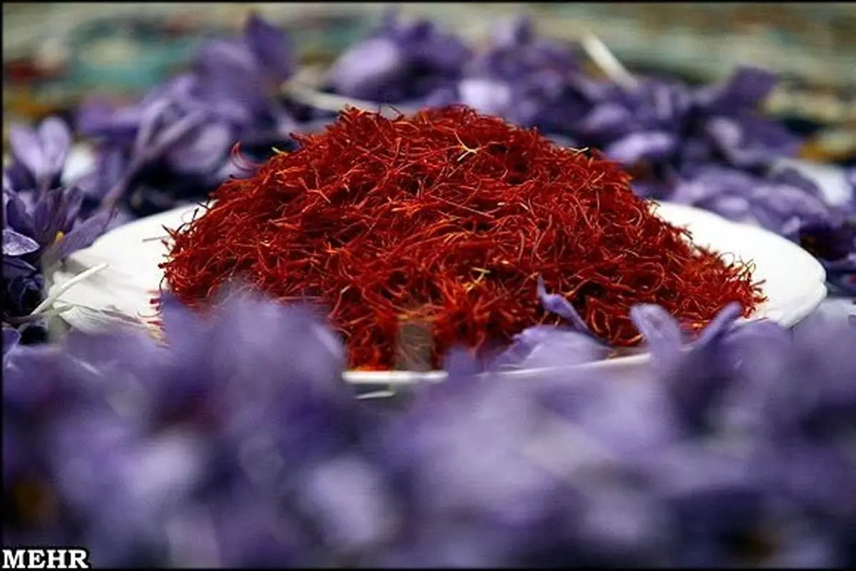 مسئولانی که از صادرات زعفران اصفهان با برند اسپانیا دلخور نیستند